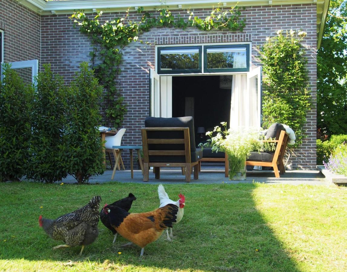 De Oude Dokterspraktijk Apartment Zuidhorn Ngoại thất bức ảnh